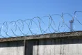 The fence with the established Concertina wire barrier