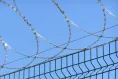Плоский барьер безопасности Концертина на металлическом заборе
