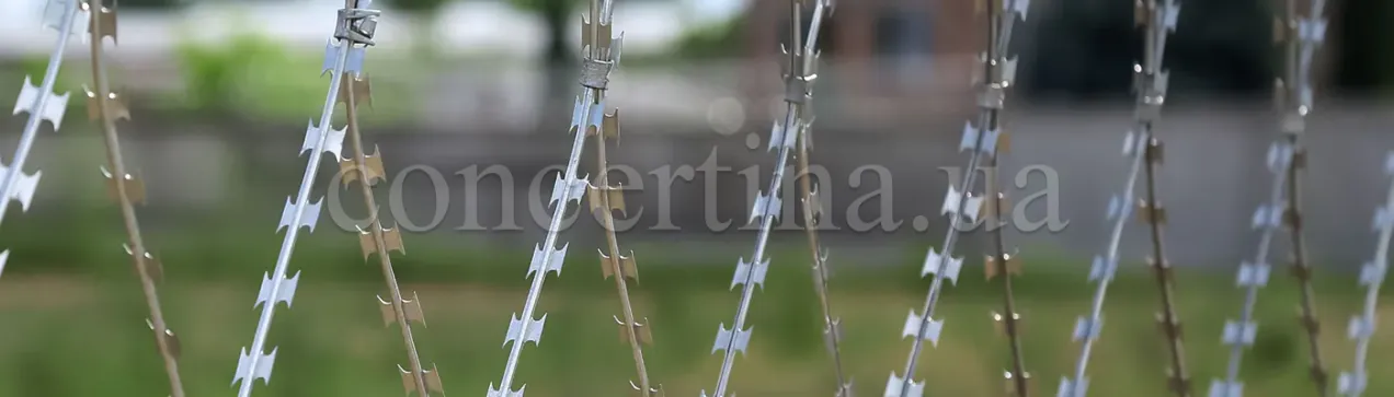 Concertina razor mesh