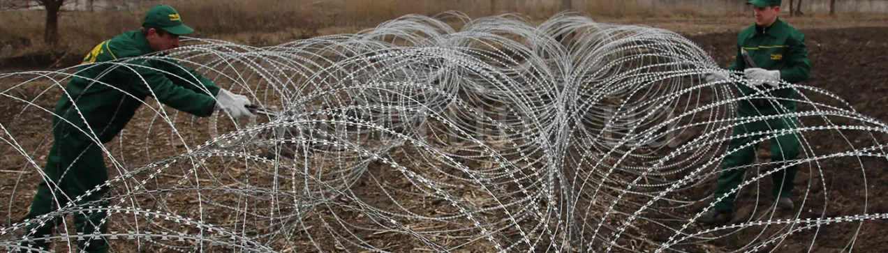 Concertina razor wire network