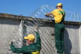 Installation Concertina barbed wire at the facility
