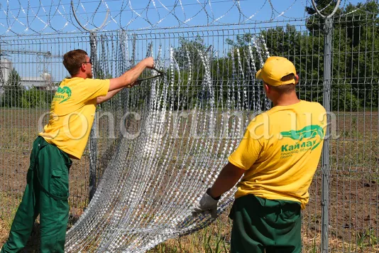 Кайману – 29 лет!