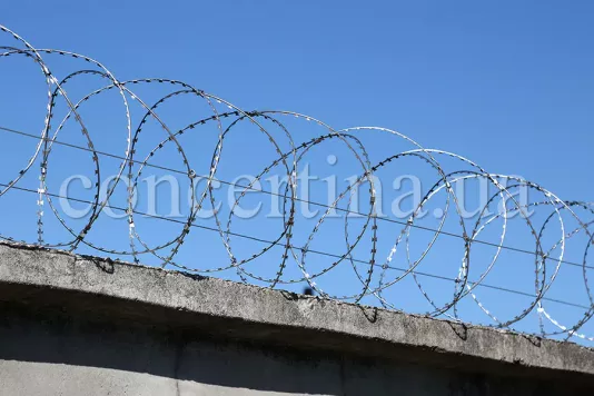 Concertina wire security barrier
