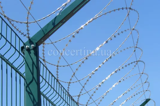 Concertina flat barrier on the fence