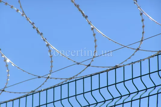 Concertina flat security barrier on a metal fence