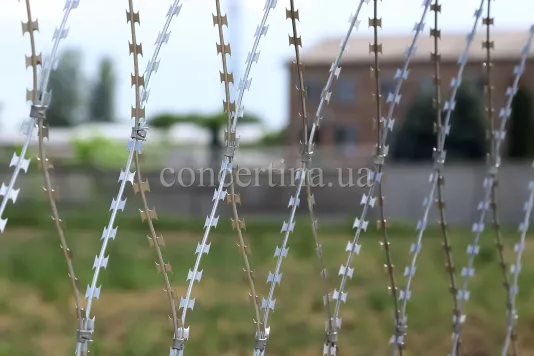 Колючая сетка Пиранья