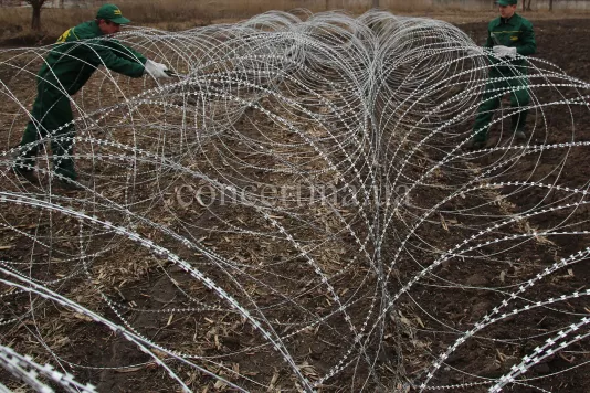 Сеть проволочная колюче-режущая Концертина